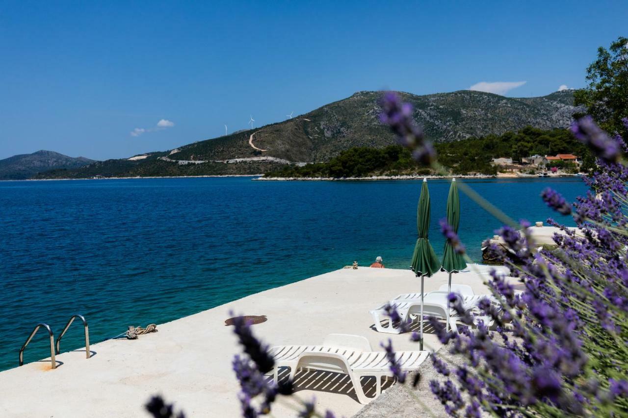 Apartments Lovorna Slano Εξωτερικό φωτογραφία